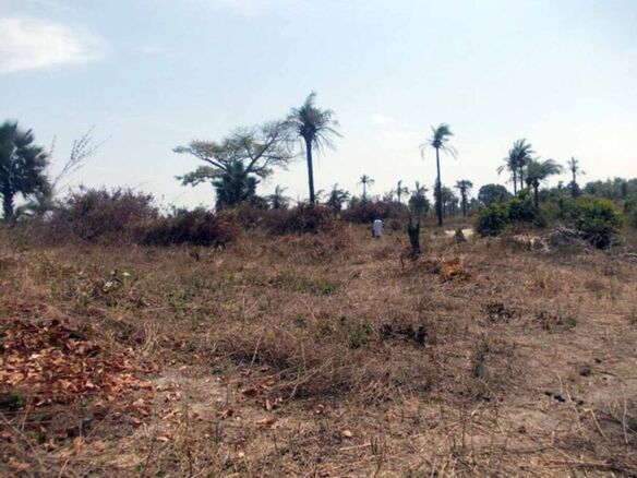 plot of land for sale sanyang a