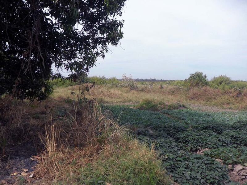 Land For Sale Mandinari Gambia Property Shop