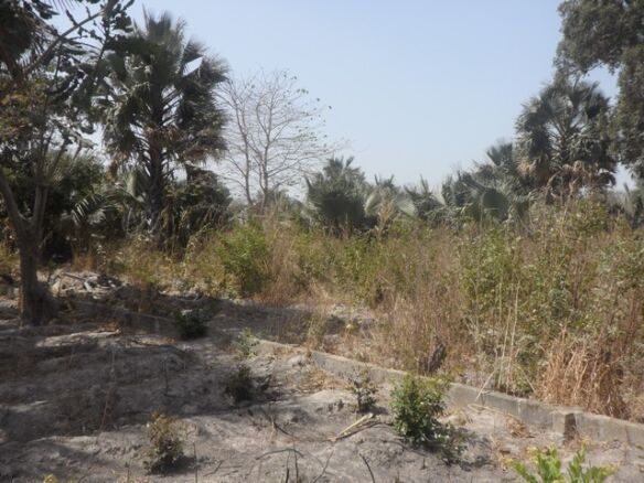 Land for sale Sanyang a