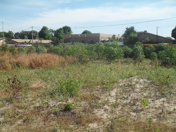 Large Plot of Land for Sale in Brufut Gambia