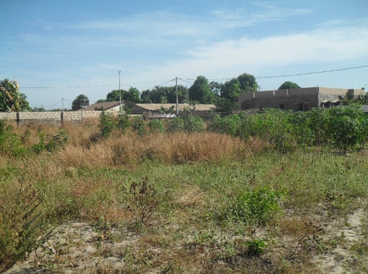 Large plot of land sale in Brufut Gambia
