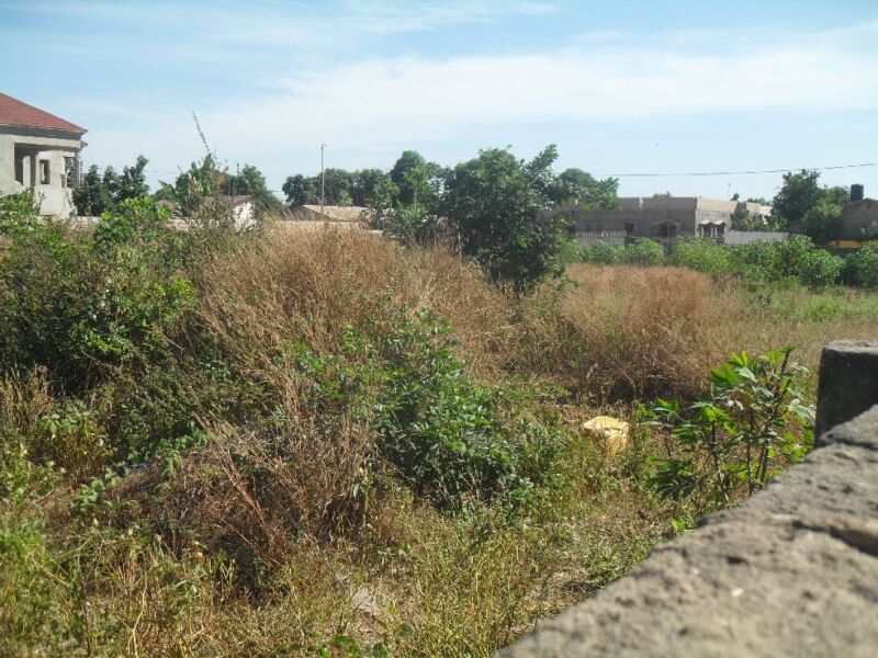 Land For Sale In Brufut Gambia Gambia Property Shop