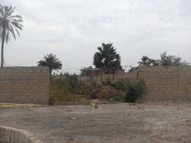 Buy Land in Gambia with The Property Shop