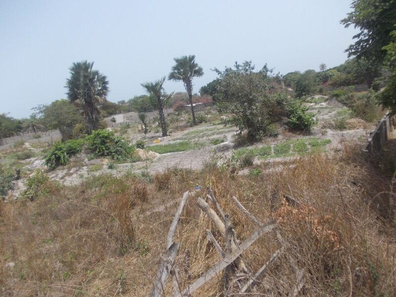 Plots Of Land For Sale In Sanyang Gambia Property Shop