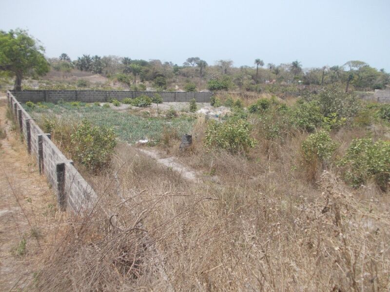 Plots Of Land For Sale In Sanyang Gambia Property Shop