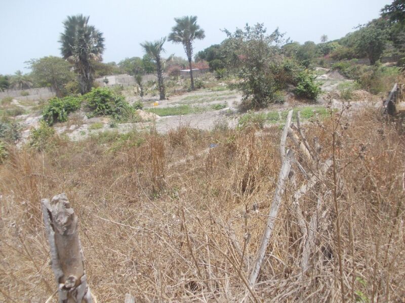 Plots Of Land For Sale In Sanyang Gambia Property Shop