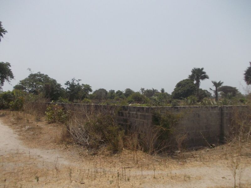 Plots Of Land For Sale In Sanyang Gambia Property Shop