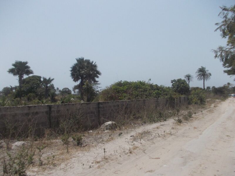 Plots Of Land For Sale In Sanyang Gambia Property Shop