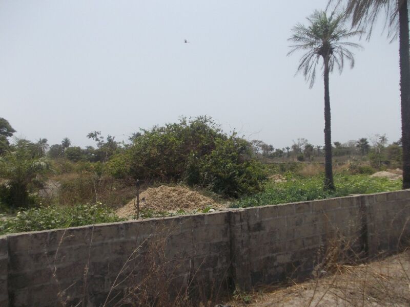 Plots Of Land For Sale In Sanyang Gambia Property Shop