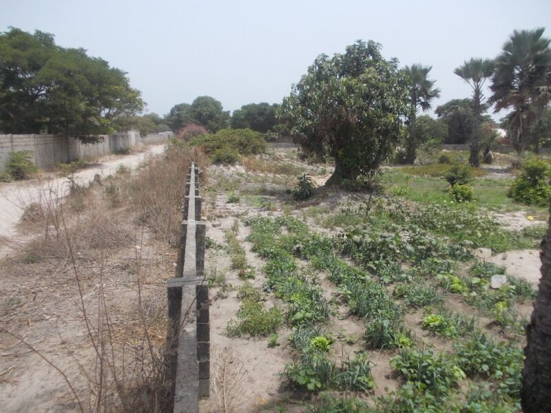 Plots Of Land For Sale In Sanyang Gambia Property Shop