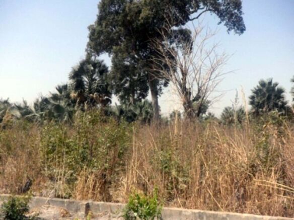 Land For Sale Sanyang UV09 9