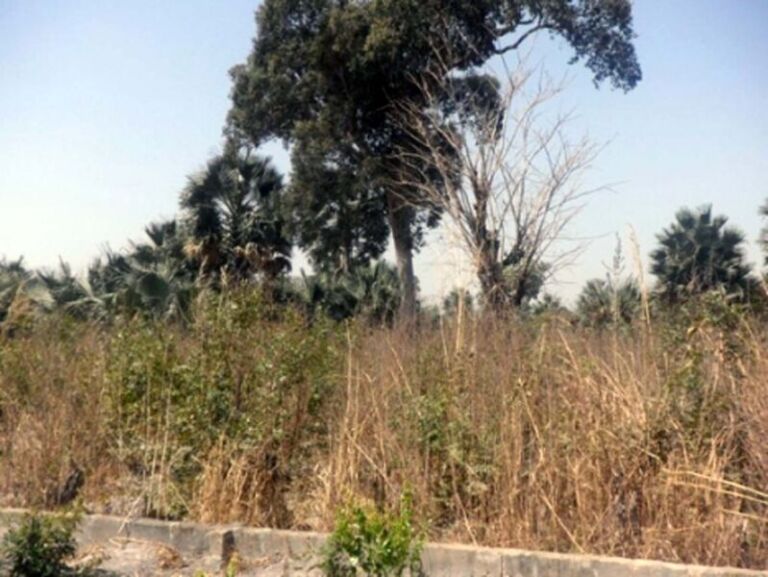 Land For Sale In Gambia Property Shop No.1 In Real Estate