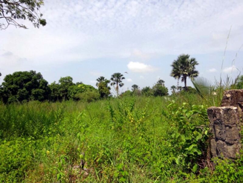 plot of land for sale in gunjur gambia
