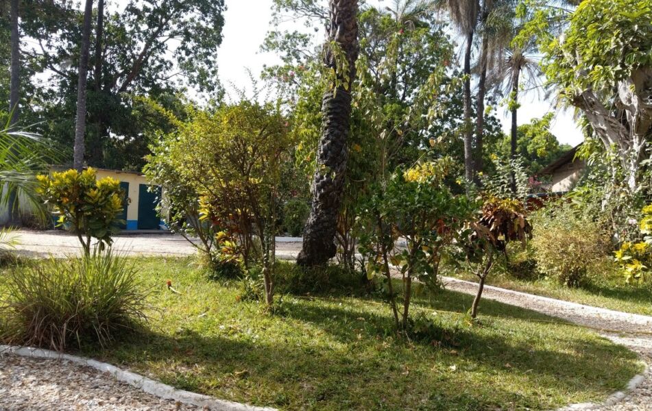 Property For Sale Sanyang Village Gambia Property Shop