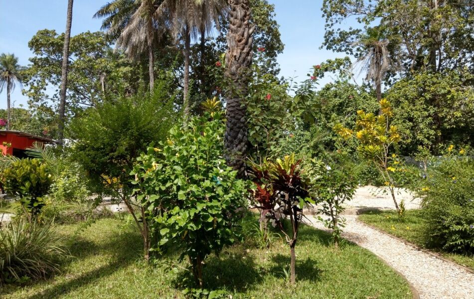 Property For Sale Sanyang Village Gambia Property Shop