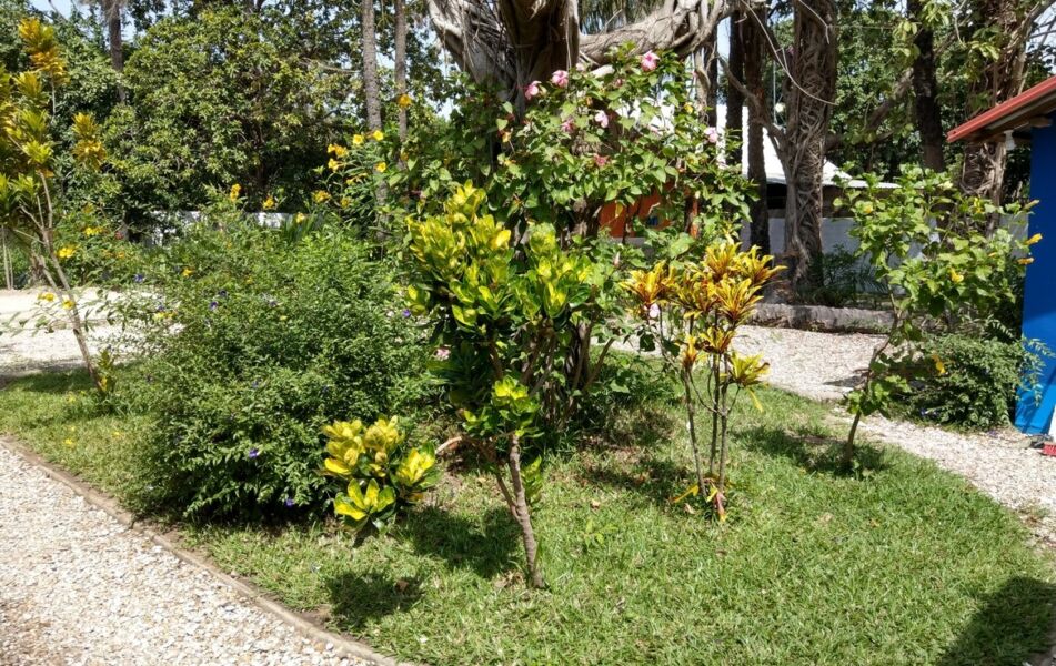 Property For Sale Sanyang Village Gambia Property Shop