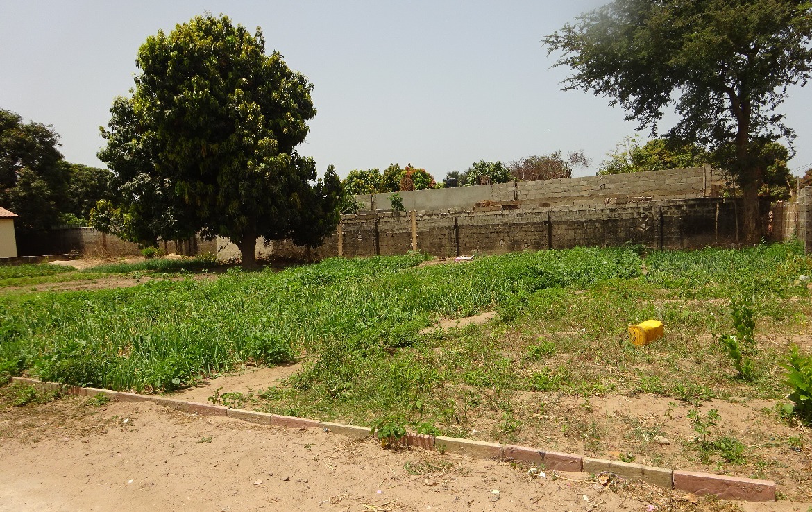 Plots In Brufut For Sale Gambia Property Shop