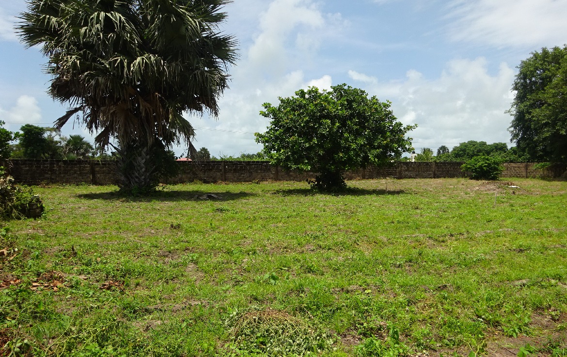 Plot Of Land For Sale Gambia Property Shop