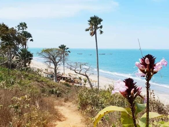 53407650 315596635976728 1551329800629518336 n